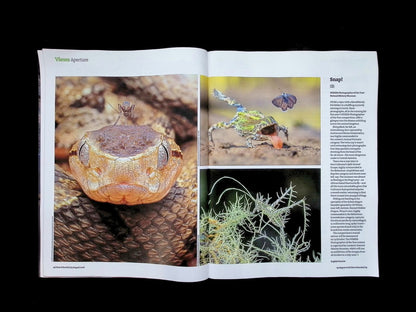 New Scientist [35] No.3610: 29 Aug 2026 - Part 3