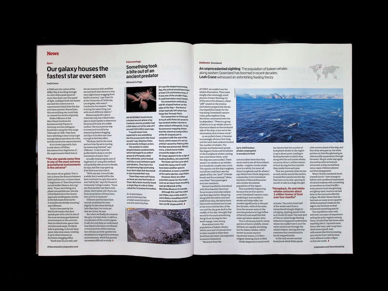 New Scientist [36] No.3611: 5 Sep 2026 - Part 4
