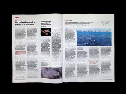 New Scientist [36] No.3611: 5 Sep 2026 - Part 4
