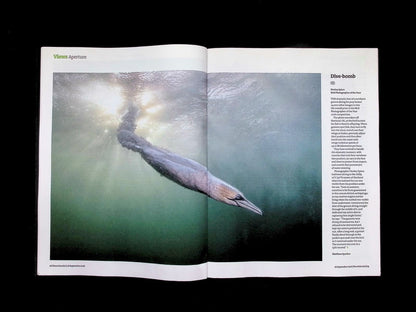 New Scientist [39] No.3614: 26 Sep 2026 - Part 2