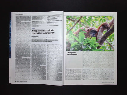 NATURE [27] No.8070 : 3 Jul 2025