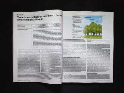 Nature [31] No.8074 : 31 Jul 2025