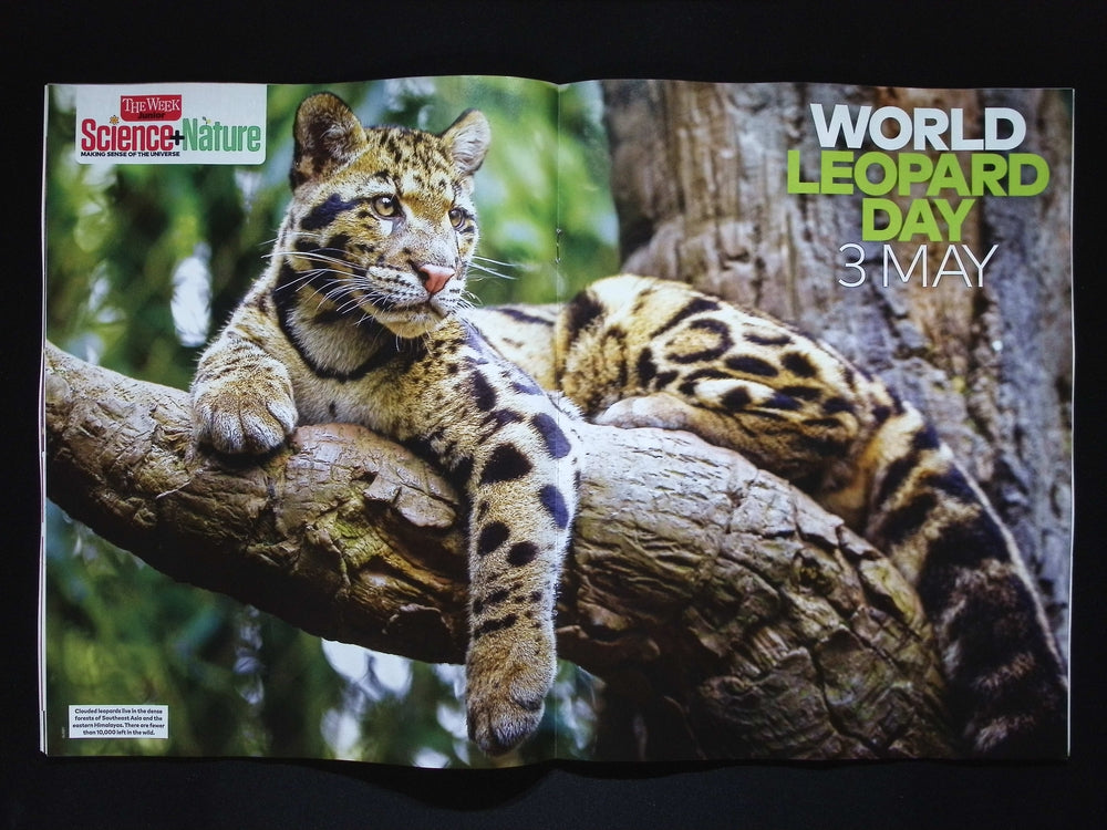 Science + Nature [87] No.87 May 2025