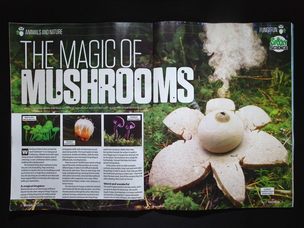 Science + Nature [93] No.93 Nov 2025