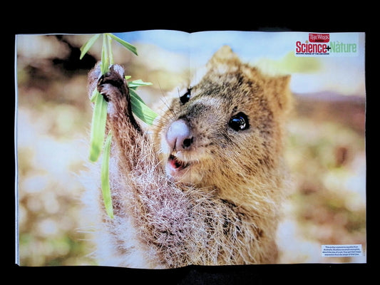 Science + Nature [00] No.100 May 2026 - Part 1