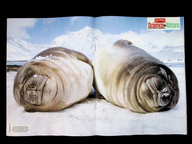 Science + Nature [05] No.105 Oct 2026 - Part 1
