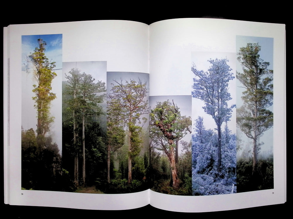 EUROPEAN PHOTOGRAPHY N.117/118 2025