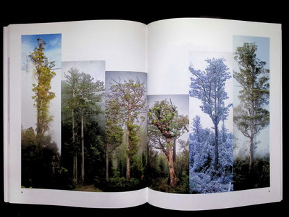 EUROPEAN PHOTOGRAPHY N.117/118 2025