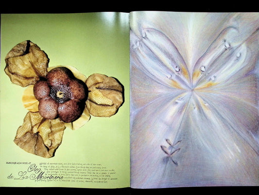 Temple NO.13 - Part 1