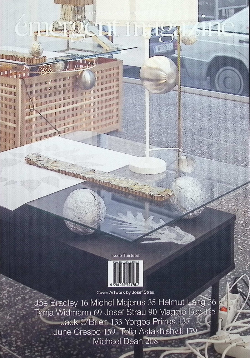 EMERGENT No.13 (三封面)