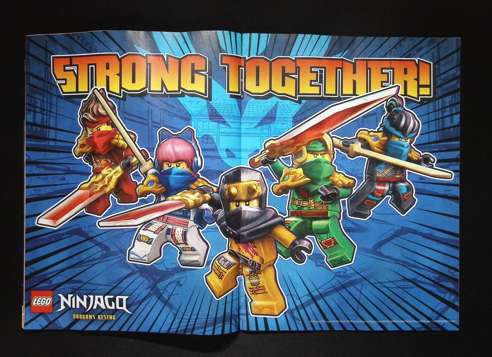 LEGO NINJAGO [33] NO.133+樂高玩具