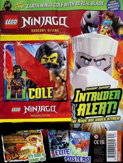 LEGO NINJAGO [34] NO.134+樂高玩具