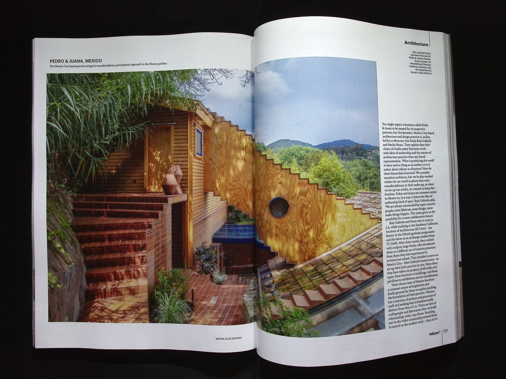 Wallpaper* N313 [2025-05]