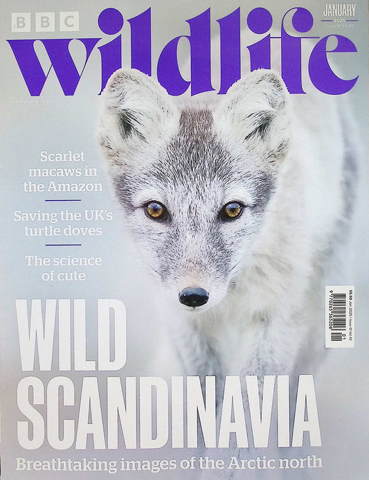 BBC Wildlife [2025-01] V43N01
