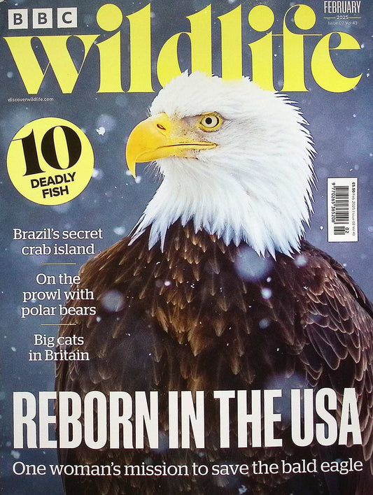 BBC Wildlife [2025-02] V43N02