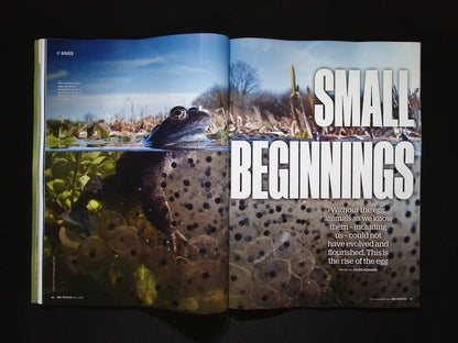 BBC Wildlife [2025-04] V43N5