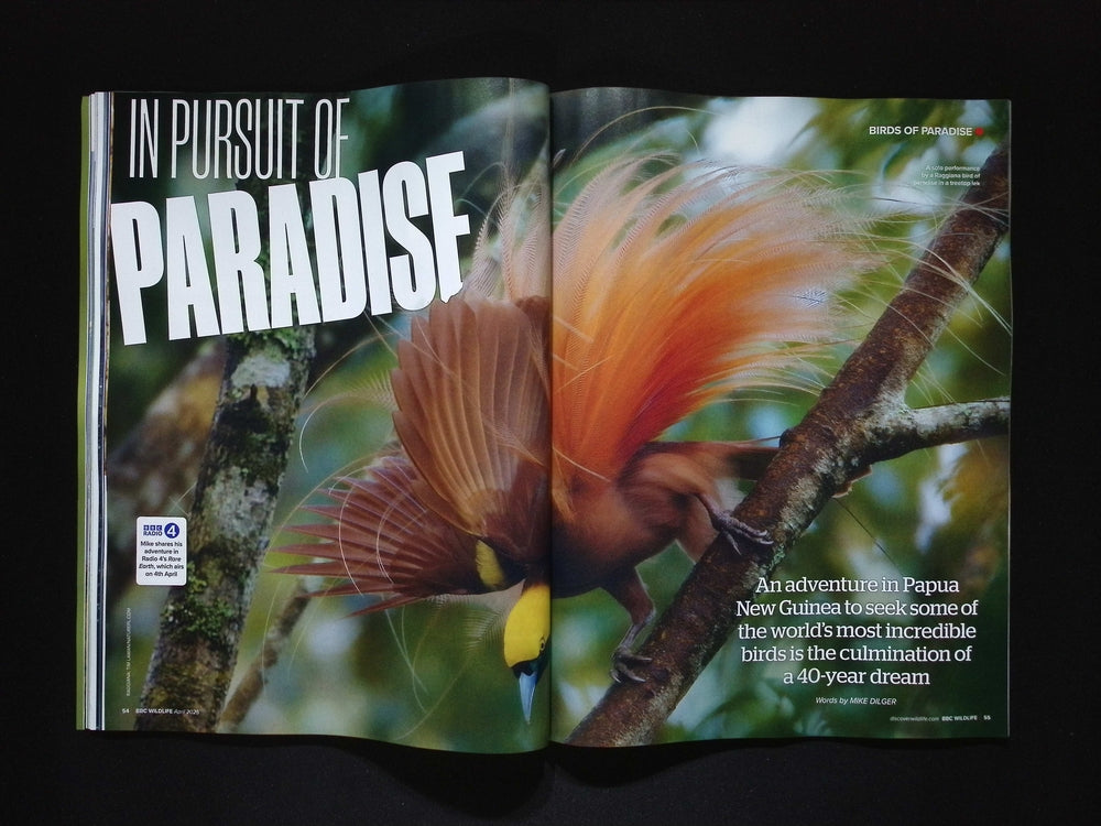 BBC Wildlife [2025-04] V43N5