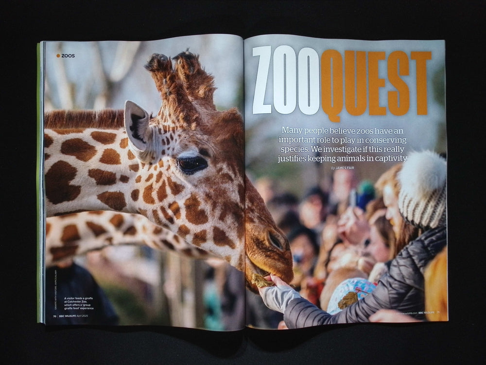 BBC Wildlife [2025-04] V43N5