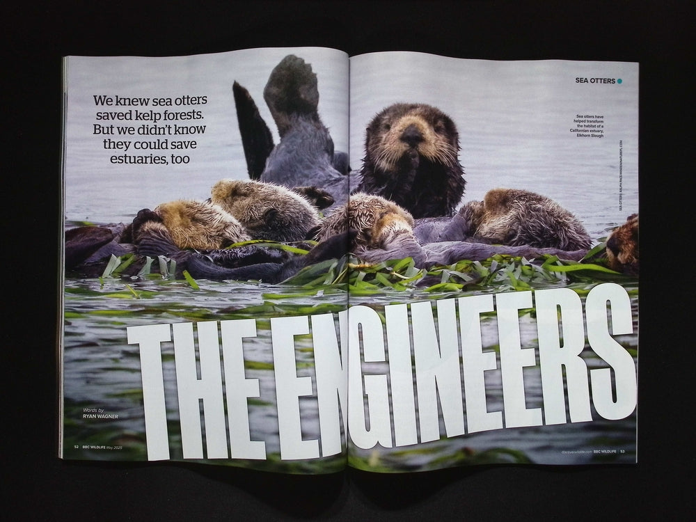 BBC WILDLIFE [2025-05] V43N6