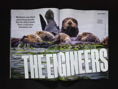 BBC WILDLIFE [2025-05] V43N6