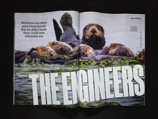 BBC WILDLIFE [2025-05] V43N6