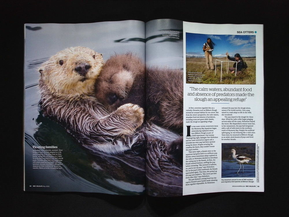 BBC WILDLIFE [2025-05] V43N6
