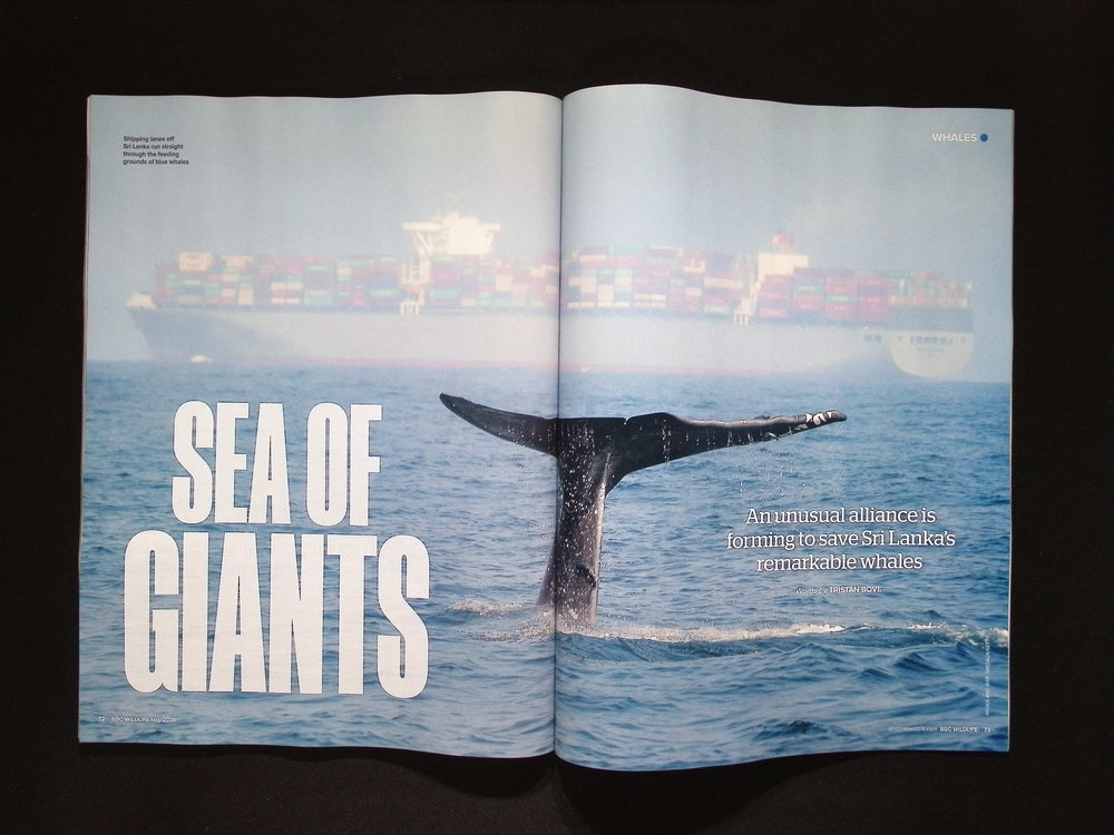 BBC WILDLIFE [2025-05] V43N6