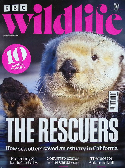 BBC WILDLIFE [2025-05] V43N6