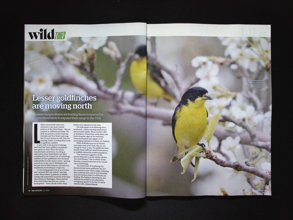 BBC WILDLIFE [2025-06] V43N7