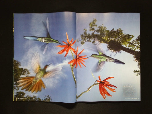 BBC WILDLIFE [2025-07] V43N8