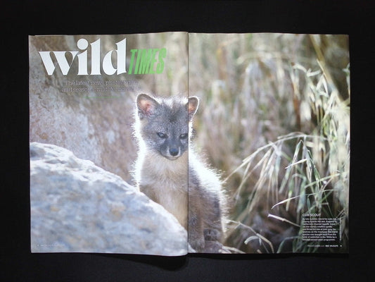 BBC WILDLIFE [2025-08] V43N9