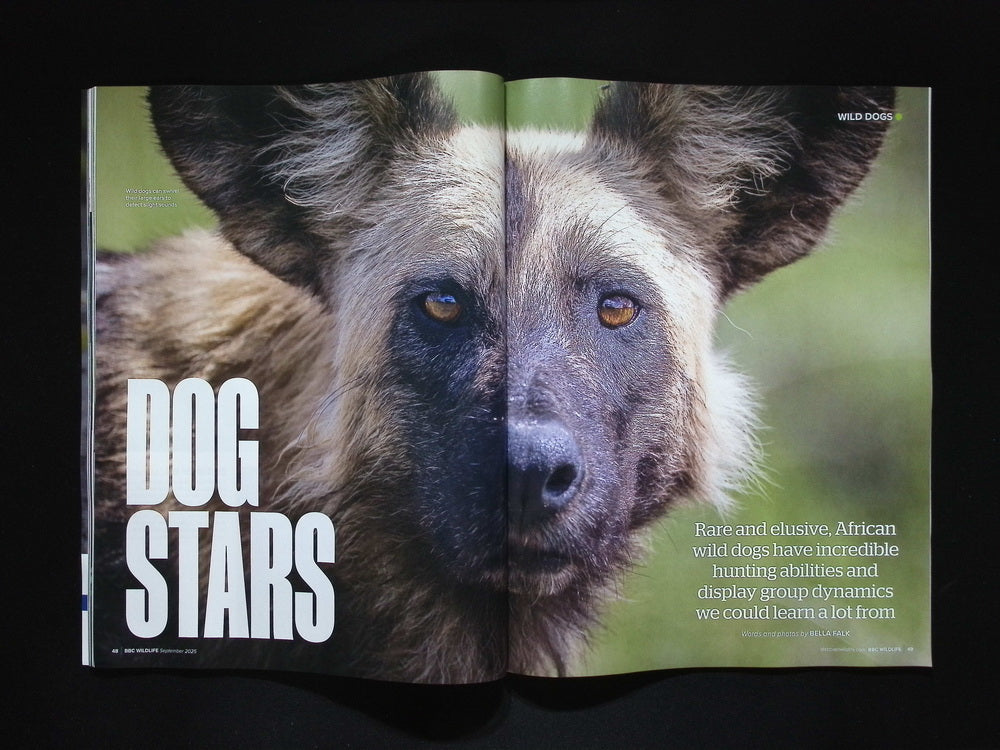 BBC Wildlife [2025-09] V43N10