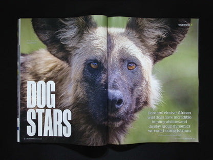 BBC Wildlife [2025-09] V43N10