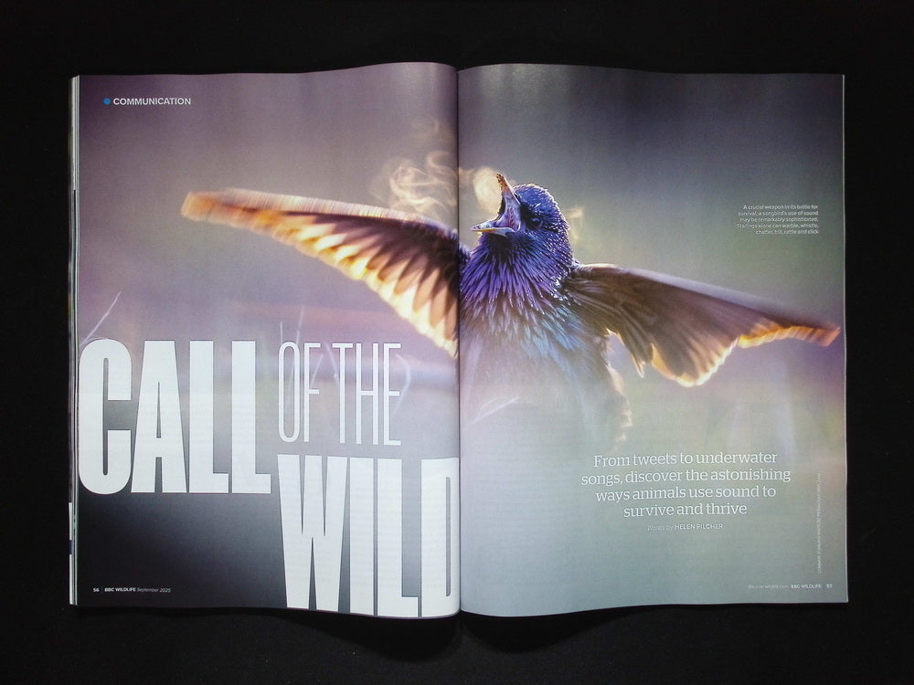 BBC Wildlife [2025-09] V43N10