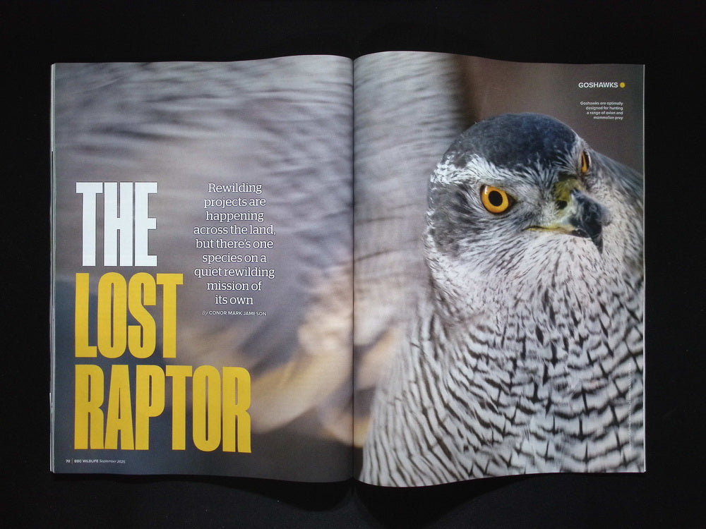 BBC Wildlife [2025-09] V43N10