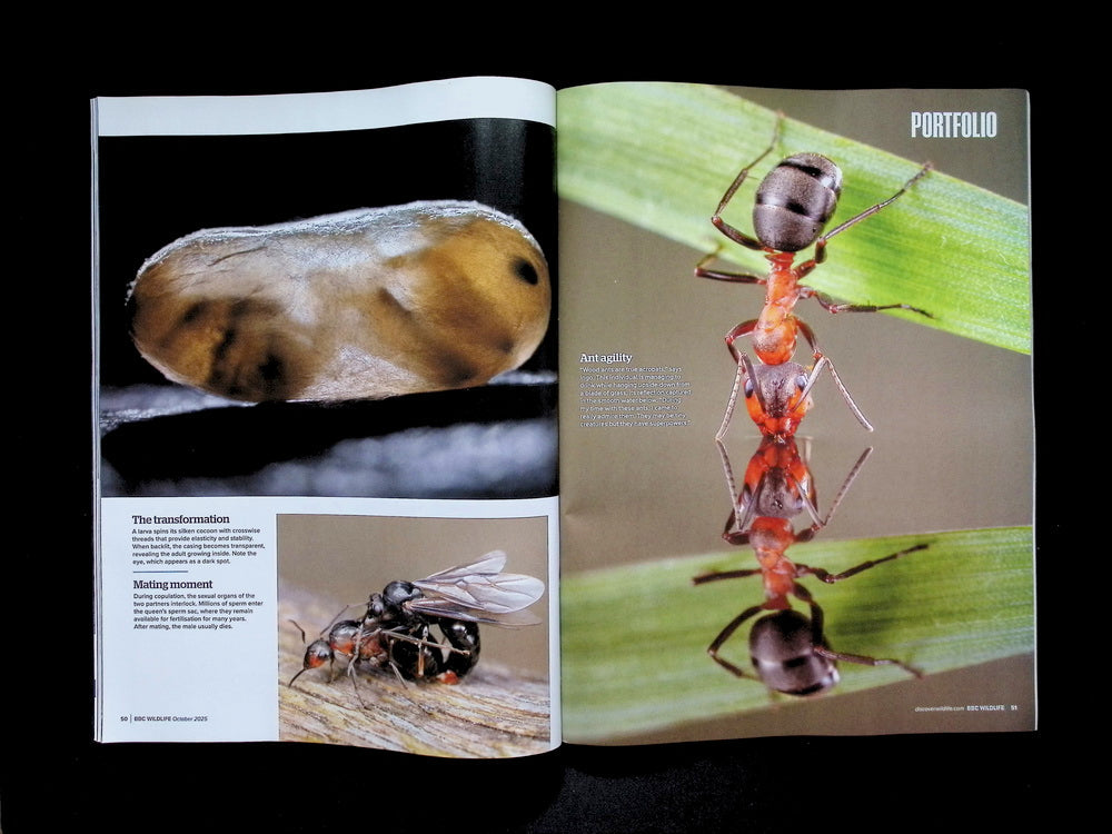 BBC Wildlife [2025-10] V43N11