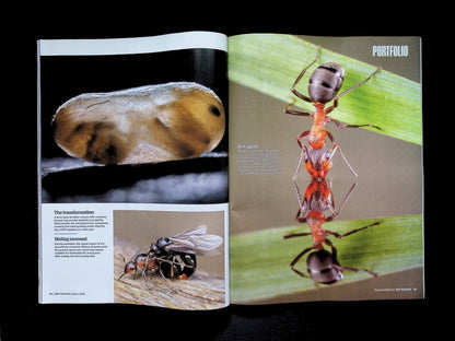 BBC Wildlife [2025-10] V43N11