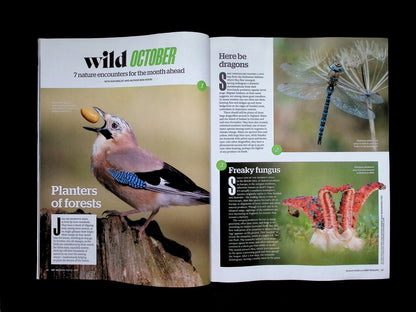 BBC Wildlife [2025-10] V43N11