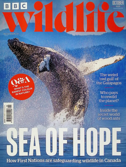 BBC Wildlife [2025-10] V43N11