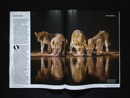 BBC Wildlife [2025-11] V43N12