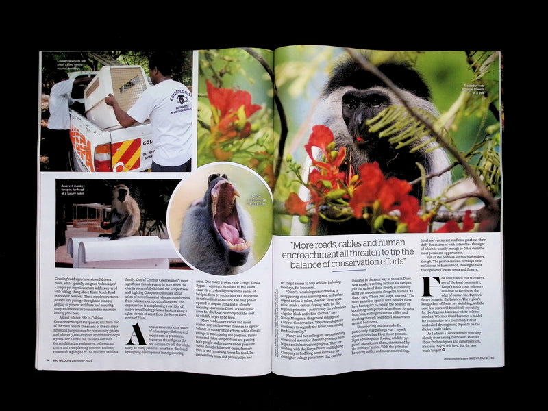 BBC Wildlife [2025-12] V43N13+年曆