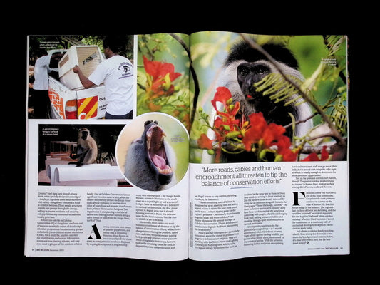 BBC Wildlife [2025-12] V43N13+年曆