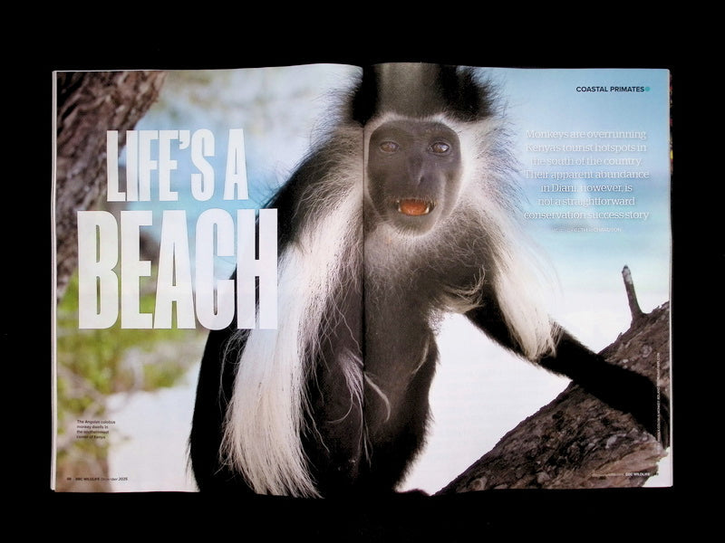 BBC Wildlife [2025-12] V43N13+年曆