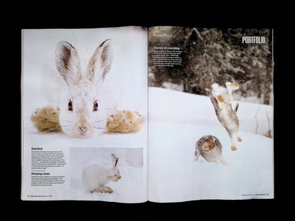 BBC Wildlife [2025-12] V43N13+年曆