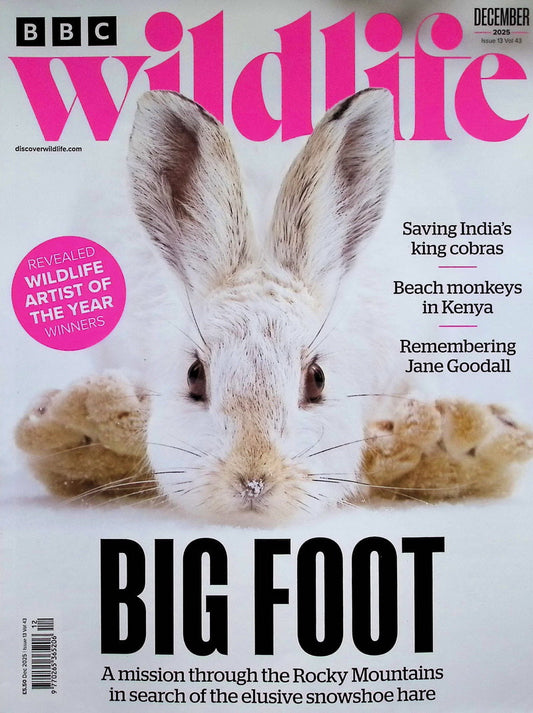 BBC Wildlife [2025-12] V43N13+年曆
