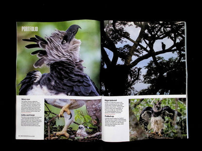 BBC Wildlife [2026-02] V44N02 - Part 2