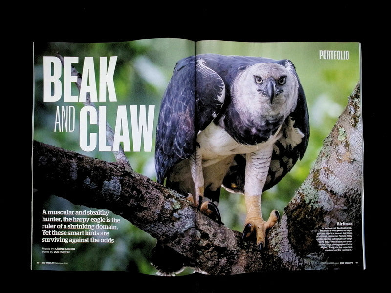 BBC Wildlife [2026-02] V44N02 - Part 4