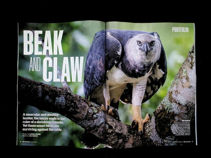 BBC Wildlife [2026-02] V44N02 - Part 4