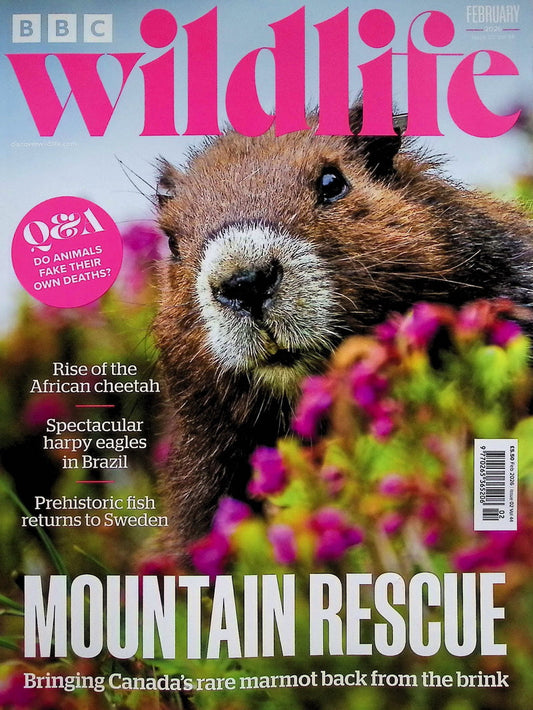 BBC Wildlife [2026-02] V44N02