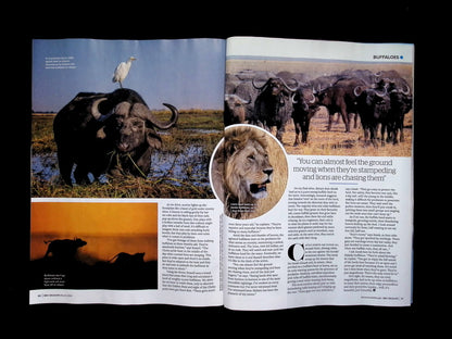 BBC Wildlife [2026-03] V44N03 - Part 2